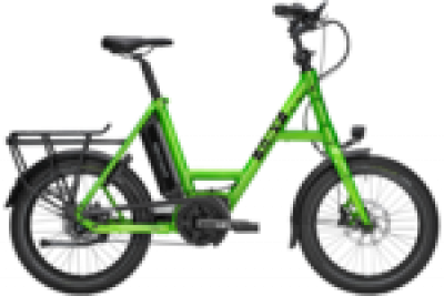 E-Bike i:SY E5 ZR F  Nabenschaltung | 5 Gang froggy green