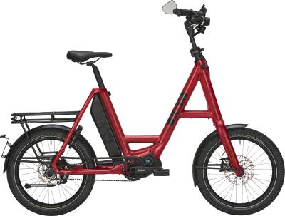 SPEED XXL P12 ZR berry red